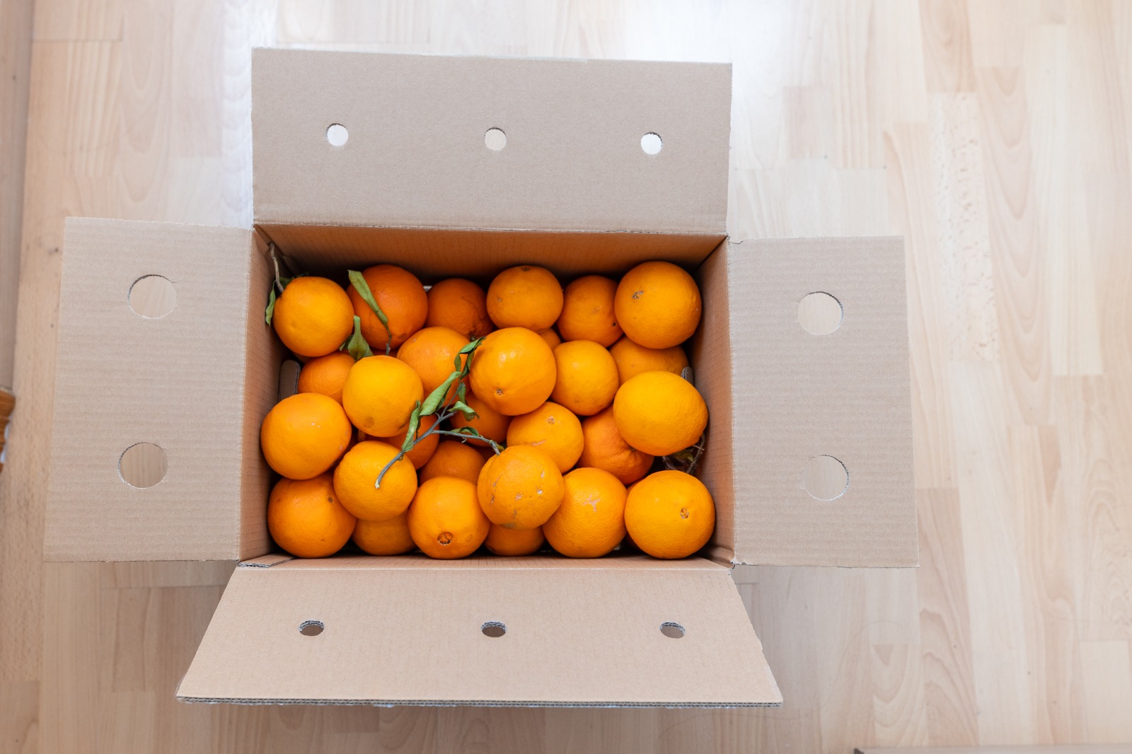 Naranjas Lane late 15kg - Imagen 5